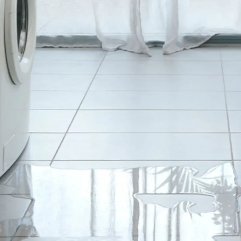 Appliance Leak Cleanup in Santa Clarita, CA