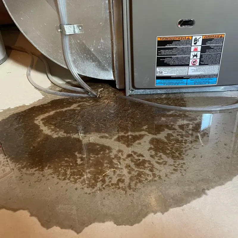 Pipe Burst and Leak Restoration in Santa Clarita, CA